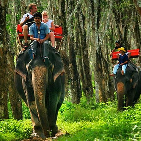 Lanta Pavilion Resort - Ko Lanta Zewnętrze zdjęcie